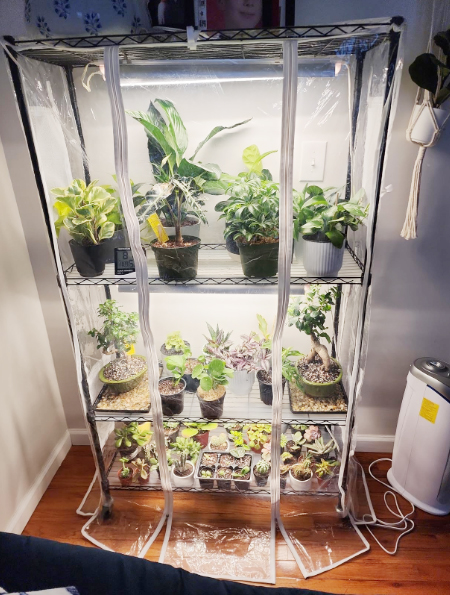 四層室內(nèi)置物培育架成功案例分享